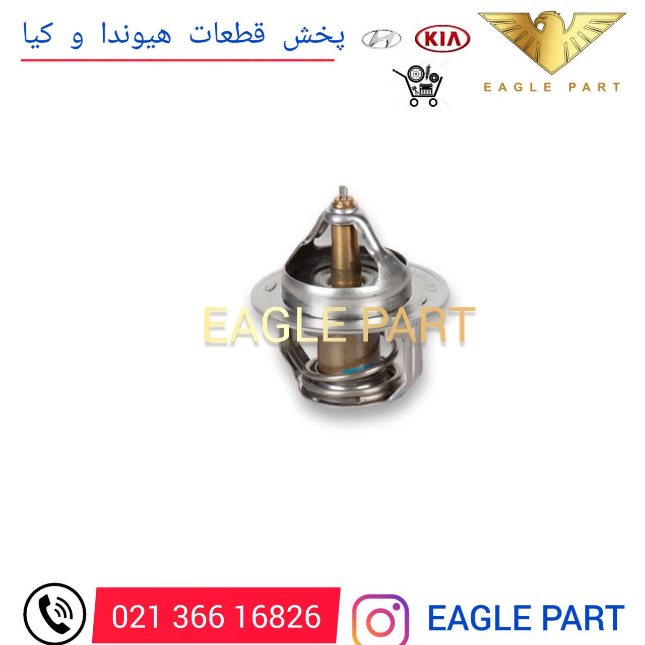 ترموستات آب